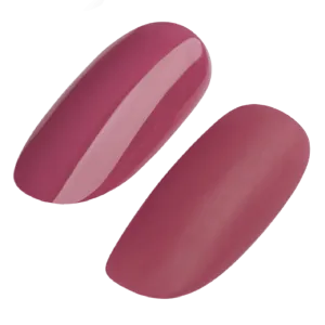 GEL POLISH #214